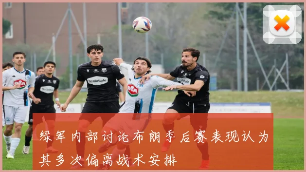 绿军内部讨论布朗季后赛表现认为其多次偏离战术安排